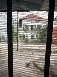 Chun Tin Road (D21), Terrace #639030291